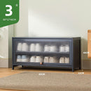 Shoe Cabinet Home Black Gray Shoe Cabinet 2022 New Flip Door Shoe Rack Cabinet