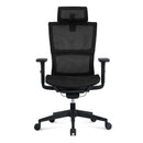Desiny Ergonomic Mesh Office Chair Full Mesh Ergonomic Chair High Back Computer Chair With Lifting