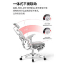 Ergonor Jinhao E Elite Edition Computer Chair Ergonomic Chair Office Chair Reclining Waist Support