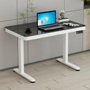 Desiny Electric Height Adjustable Table Removable Computer Table With Drawer Study Table