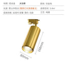 🔥In Stock🔥 Nordic Gold Surface Mounted Spotlight Living Room Dining Room Household Ceiling