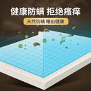 ăNatural LatexăRoyal Thai Latex Mattress |tatami Mattress | Pocket Spring | Latex & Memory Foam