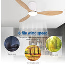 Ceiling Fan Tri-Color LED Light Remote Control Ceiling