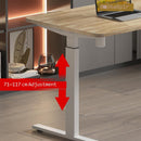 Memory Preset Electric Lifting Table Height Adjustable Standing Desk Ergonomic Office Desk