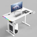 Desiny Height Adjustable Table RGB Gaming Table Standing Desk Computer Table Home Living Furniture