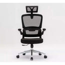 Desiny Full Mesh Ergonomic Chair 3D Office Chair With Ergonomic Lumbar Support Computer Chair