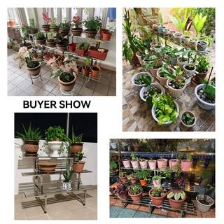 Stainless Steel Flower Rack Indoor/Outdoor Metal Plant Rack Ladder Flower Stand For Balcony Garden