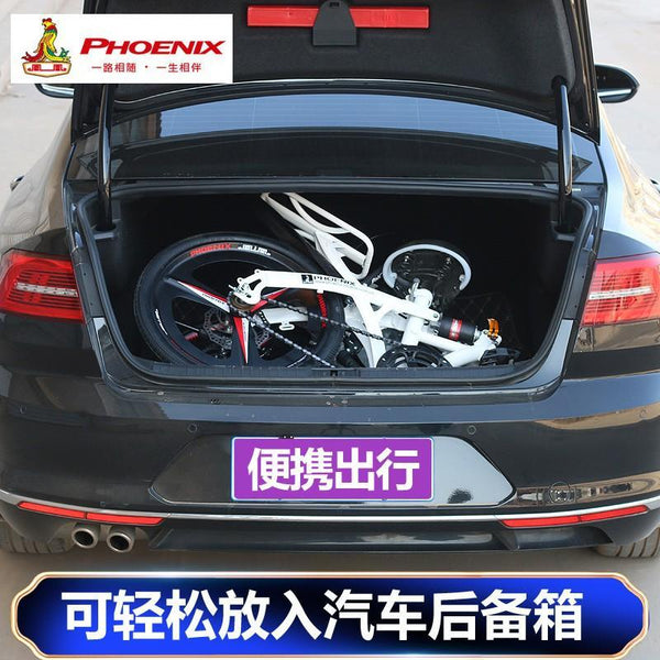 Phoenix Foldable Bicycle 7 Speed Variable Speed Foldable Bike High Carbon Steel Double Disc Brake