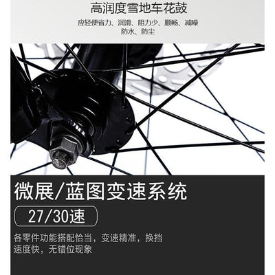 PIGEON Snow 26 Inch Bicycle 4.0 Ultra-wide Tire Shock Absorption Men And Women Variable Speed Beach