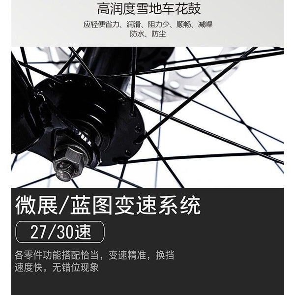 PIGEON Snow 26 Inch Bicycle 4.0 Ultra-wide Tire Shock Absorption Men And Women Variable Speed Beach
