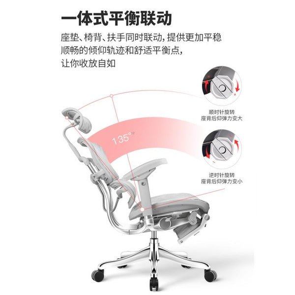 Ergonor Jinhao E Elite Edition Computer Chair Ergonomic Chair Office Chair Reclining Waist Support