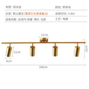 🔥In Stock🔥 Nordic Gold Surface Mounted Spotlight Living Room Dining Room Household Ceiling