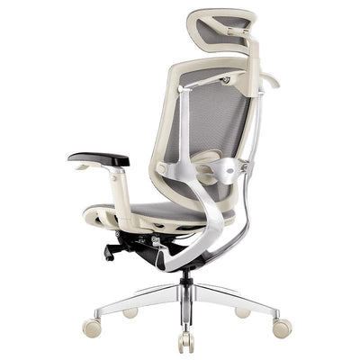 Desiny Ergonomic Chair Office Chair to Have Dazzle Ergonomic Chair Computer Home Office Boss Waist