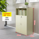 Office Filing Cabinet, Data Cabinet, Low Cabinet, Locker, Bookcase, Office Combination, Floor