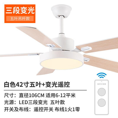 Nordic Style Ceiling Fan Lamp(Remote Control)modern Stylish Ceiling Light Living Room