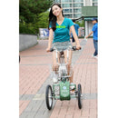 Phoenix Bicycle Tricycle Suspension 6-speed Variable Speed Bicycle
