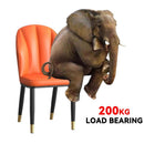 Light Luxury Dining Chair Nordic Back Chair Simple Chair Household Soft Bag Makeup Stool Ergonomic
