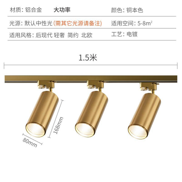 🔥In Stock🔥 Nordic Gold Surface Mounted Spotlight Living Room Dining Room Household Ceiling