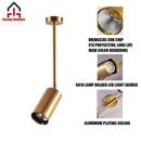 🔥In Stock🔥 Nordic Gold Surface Mounted Spotlight Living Room Dining Room Household Ceiling