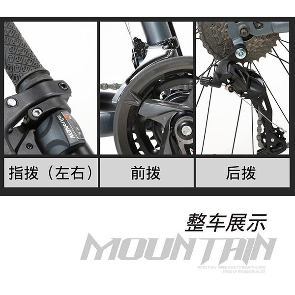 PIGEON Snow 26 Inch Bicycle 4.0 Ultra-wide Tire Shock Absorption Men And Women Variable Speed Beach