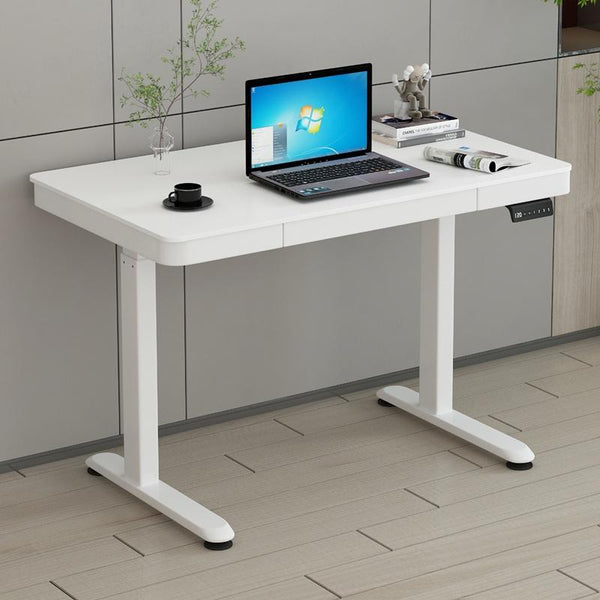 Desiny Electric Height Adjustable Table Removable Computer Table With Drawer Study Table